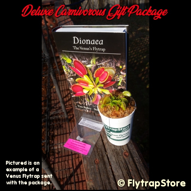 Deluxe Carnivorous Plant Gift Package